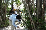 Img_4379_2