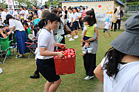 Simg_2884