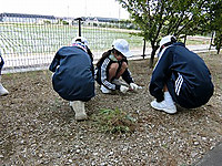 Cimg0906