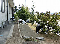 Cimg0907