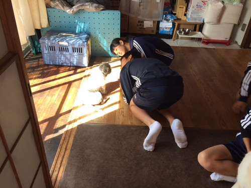 Image1_4