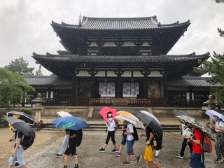 Line_954170295254343