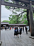 Img20230531093335