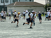 Image1