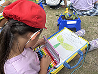 Photo_2
