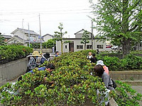 Dsc06734