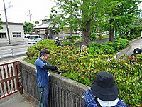 Dsc06735