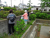 Dsc06736