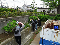Dsc06738