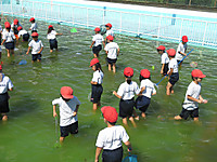 Img_5601
