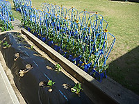 P1040440