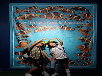 Imgp0390_2