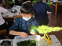 Img_9075