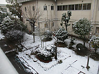 Img_5023
