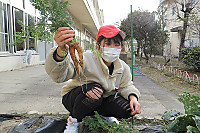Img_5708