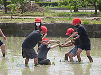 Img_0126