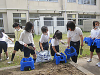 Img_3524_2