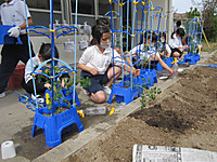 Img_3533_5