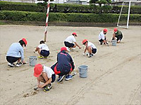 Img_8261_r_2