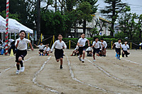 Dsc_2952_2