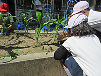 Img_4501