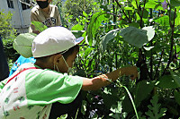 Img_6206_2