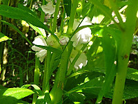 Dsc00478
