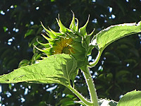 Dsc00483