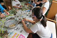 Img_6300_3