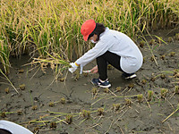 Img_0710