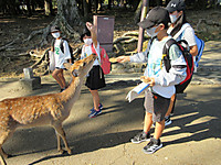 Img_1653