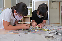 Img_6453_2