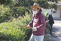 Img_9222