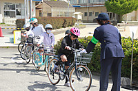 Img_1781