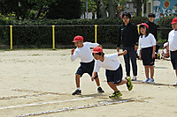 Img_6881