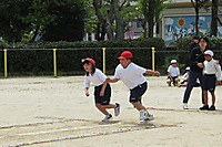 Img_6882