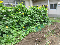 Img_1304_2
