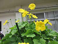 Img_1305