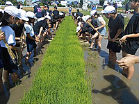 Dscn8830_2