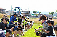 Img_0748
