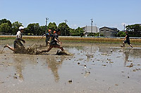 Img_0825