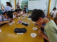 Dsc03047