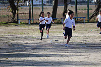 Timg_0766