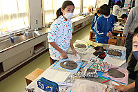 Img_0909