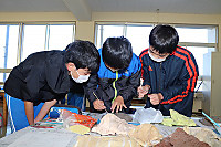Img_0920
