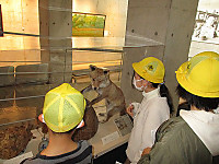 Img_3861_2