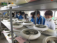 Dscf4166
