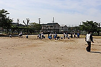 Img_1057