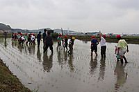Img_1699