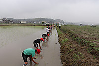 Img_1726